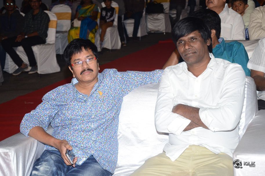 Nanna-Nenu-Naa-Boyfriends-Movie-Audio-Launch